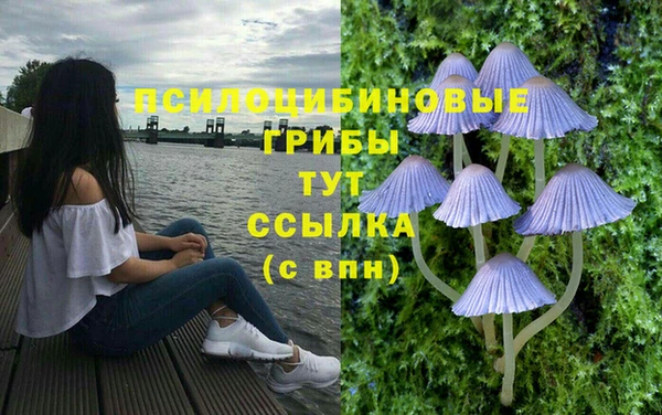 2c-b Лагань