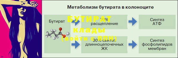 индика Кулебаки