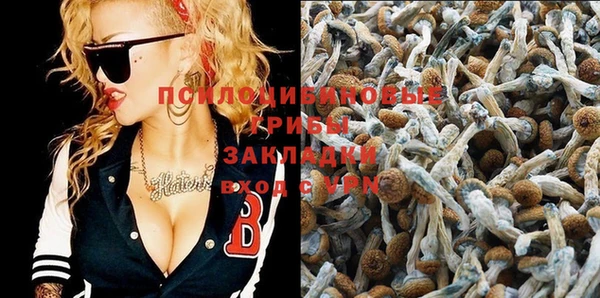 2c-b Лагань